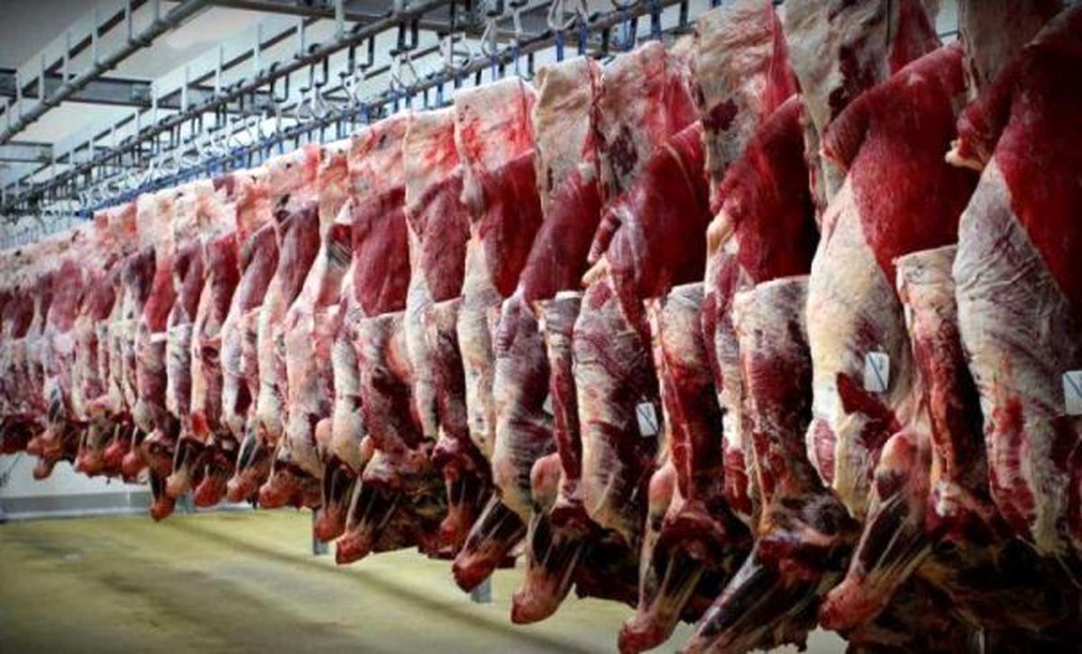 افزایش 411 درصدی واردات گوشت قرمز