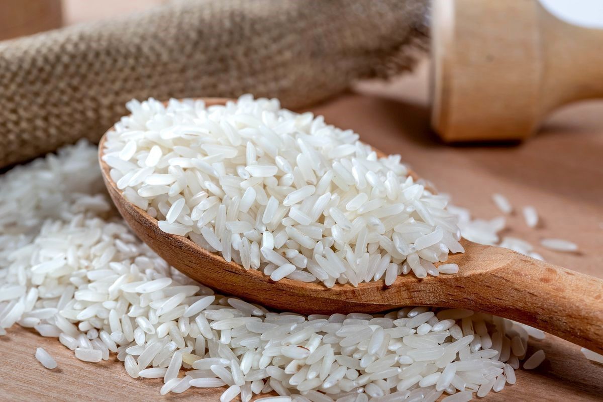 خرید توافقی برنج سنواتی هاشمی با قیمت ۷۰ هزار تومان از کشاورزان