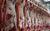 آیا بازار گوشت قرمز در ۳ماه آینده ساماندهی می‌شود؟
