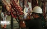 بیش از ۳۳ تن گوشت قرمز در بهمن عرضه شد