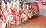 سرانه مصرف گوشت قرمز دو برابر مقدار اعلامی مرکز آمار است