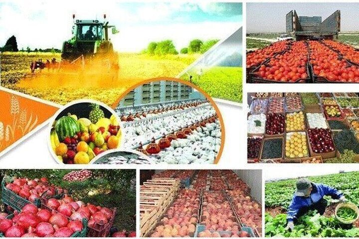 صادرات محصولات کشاورزی ایران از مرز ۶ میلیارد و ۲۰۰ میلیون دلار فراتر رفت