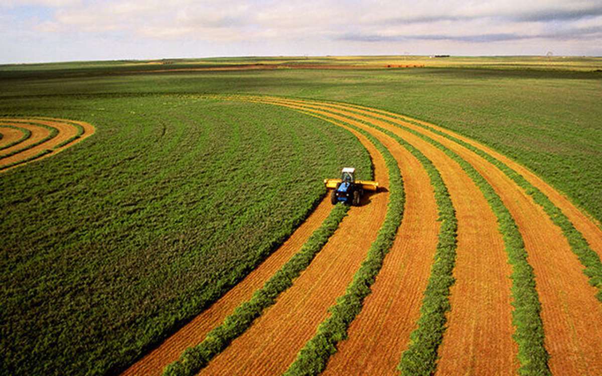 کشاورزی فراسرزمینی در دستور کار دولت است/ 62 کشور جهان کشاورزی فراسرزمینی انجام می‌دهند
